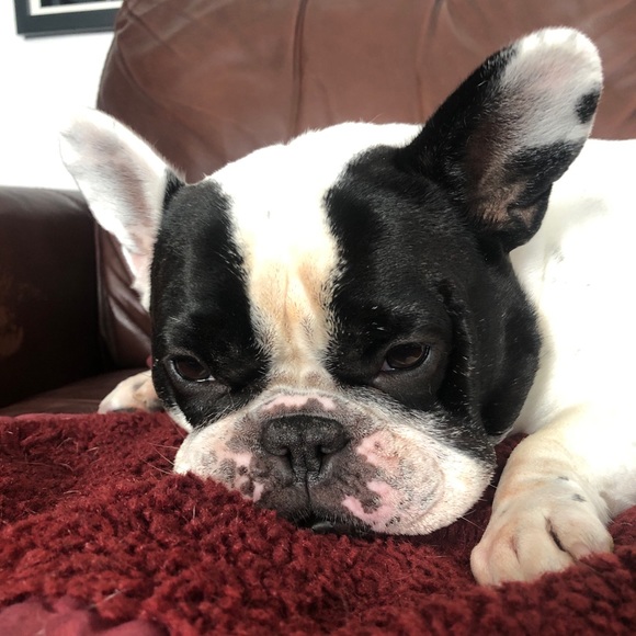 Meet your Posher, Cynthia - Picture 9 of 10